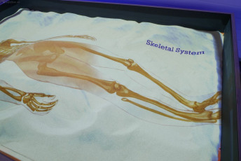 Augmented Reality Sandbox Gallery 15 ar-sandbox.pl_explorarium